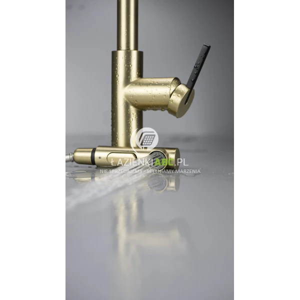 Bateria-kuchenna-z-wyciagana-wylewka-Deante-MOMI-BKM-R73M-zloto-szczotkowane-195659