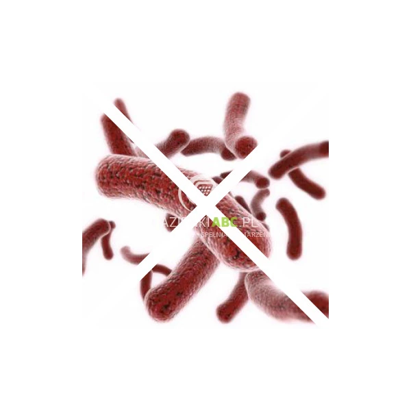 Brodzik-prostokatny-80x100x4-5-Schedpol-CASPAR-NEW-3.2836-203376