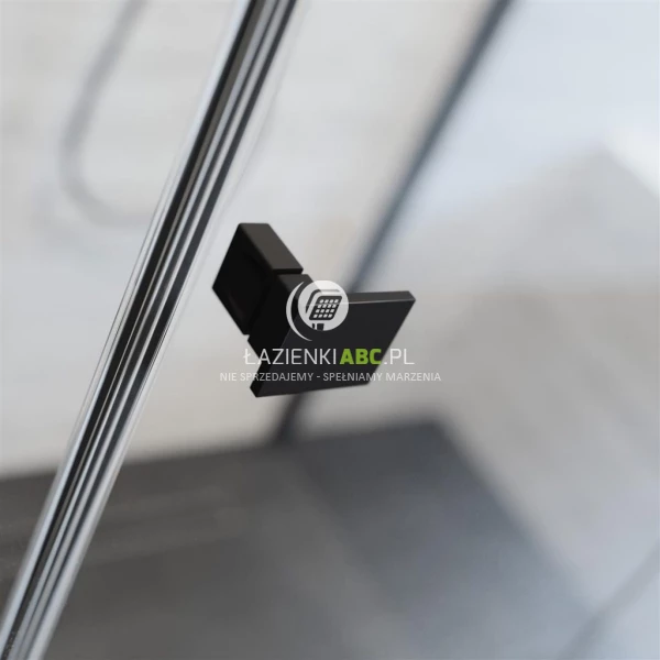 Czarne-drzwi-prysznicowe-120x200-Radaway-ESSENZA-PRO-BLACK-DWJ-10099120-54-01R-prawe-108022