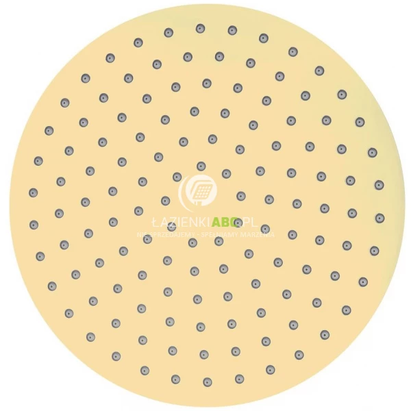 Deszczownica-okragla-22-cm-z-ramieniem-sciennym-Oltens-ALTRAN-LAGAN-36018800-zloty-polysk-168747
