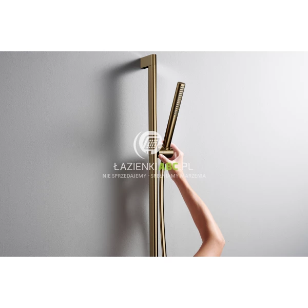 Drazek-prysznicowy-65-cm-S-Puro-z-suwakiem-waz-prysznicowy-160-cm-Hansgrohe-UNICA-24402140-braz-szczotkowany-181734