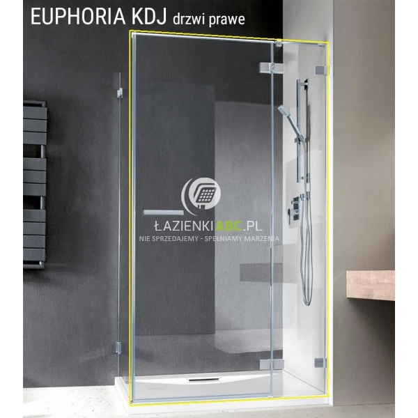 Drzwi-do-kabiny-prysznicowej-100x200-Radaway-EUPHORIA-KDJ-KDJ-P-383612-01R-383240-01R-prawe-97742