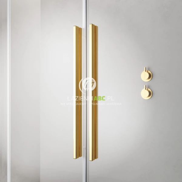 Kabina-prysznicowa-110-cm-Radaway-FURO-GOLD-KDJ-10104572-09-01R-10110530-01-01-front-prawa-121568