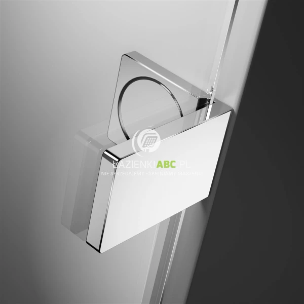 Kabina-walk-in-110x200-Radaway-EUPHORIA-WALK-IN-V-383113-01-01-81213