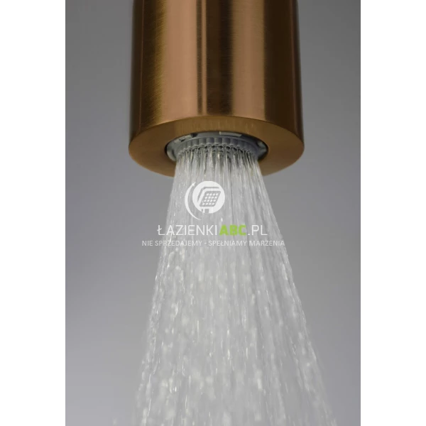 Kolumna-prysznicowa-z-bateria-Deante-SILIA-NQS-C4XM-braz-szczotkowany-201325