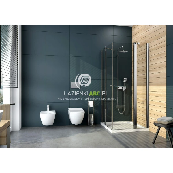 Miska-WC-wiszaca-bezkolnierzowa-deska-Deante-ANEMON-CDZD6ZPW-156935