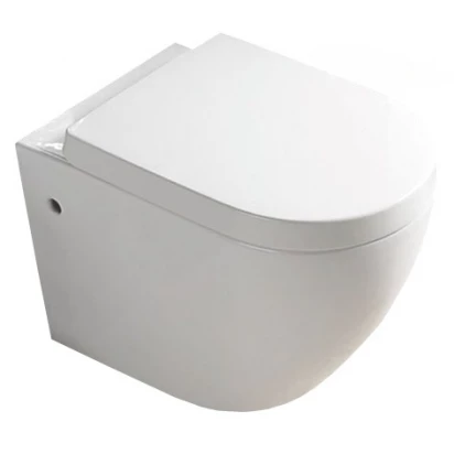 Misa wisząca WC + deska Rea CARLO REA-C0076 duroplast/ZM