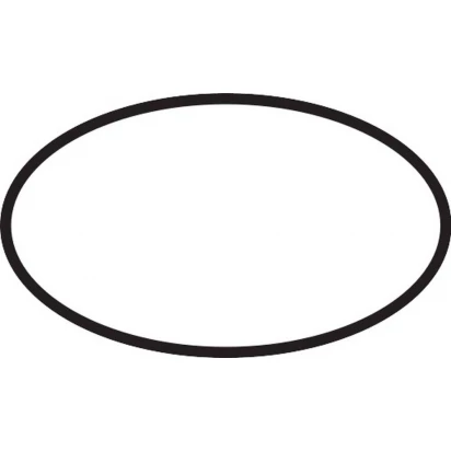 O-Ring 48x5 Hansgrohe SHOWERSELECT 98174000