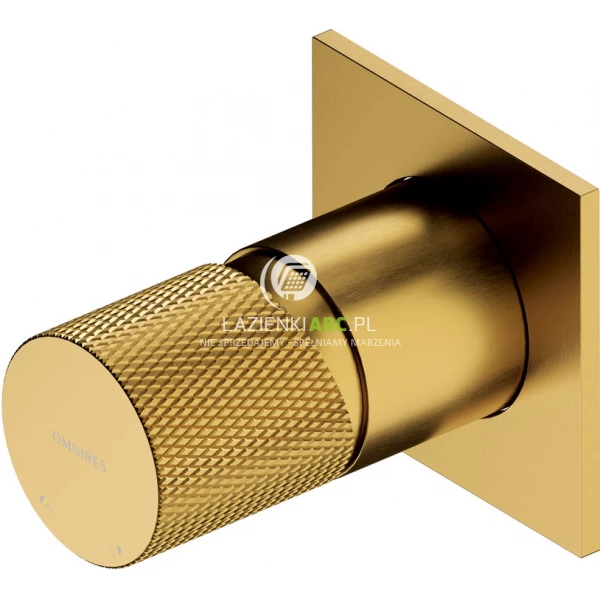 Bateria prysznicowa podtynkowa Omnires CONTOUR CT8045GLB złoty szczotkowany
