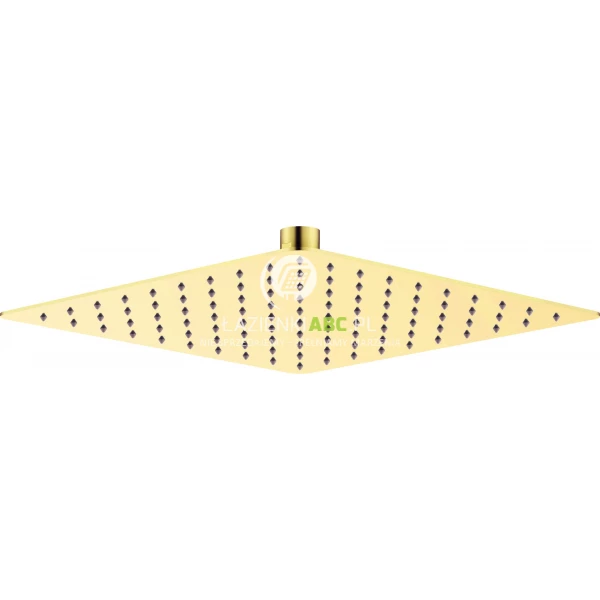 Deszczownica kwadratowa 25x25 Deante CASCADA NAC Z02K złota